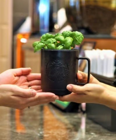 Coffee Upcycling Plantpot